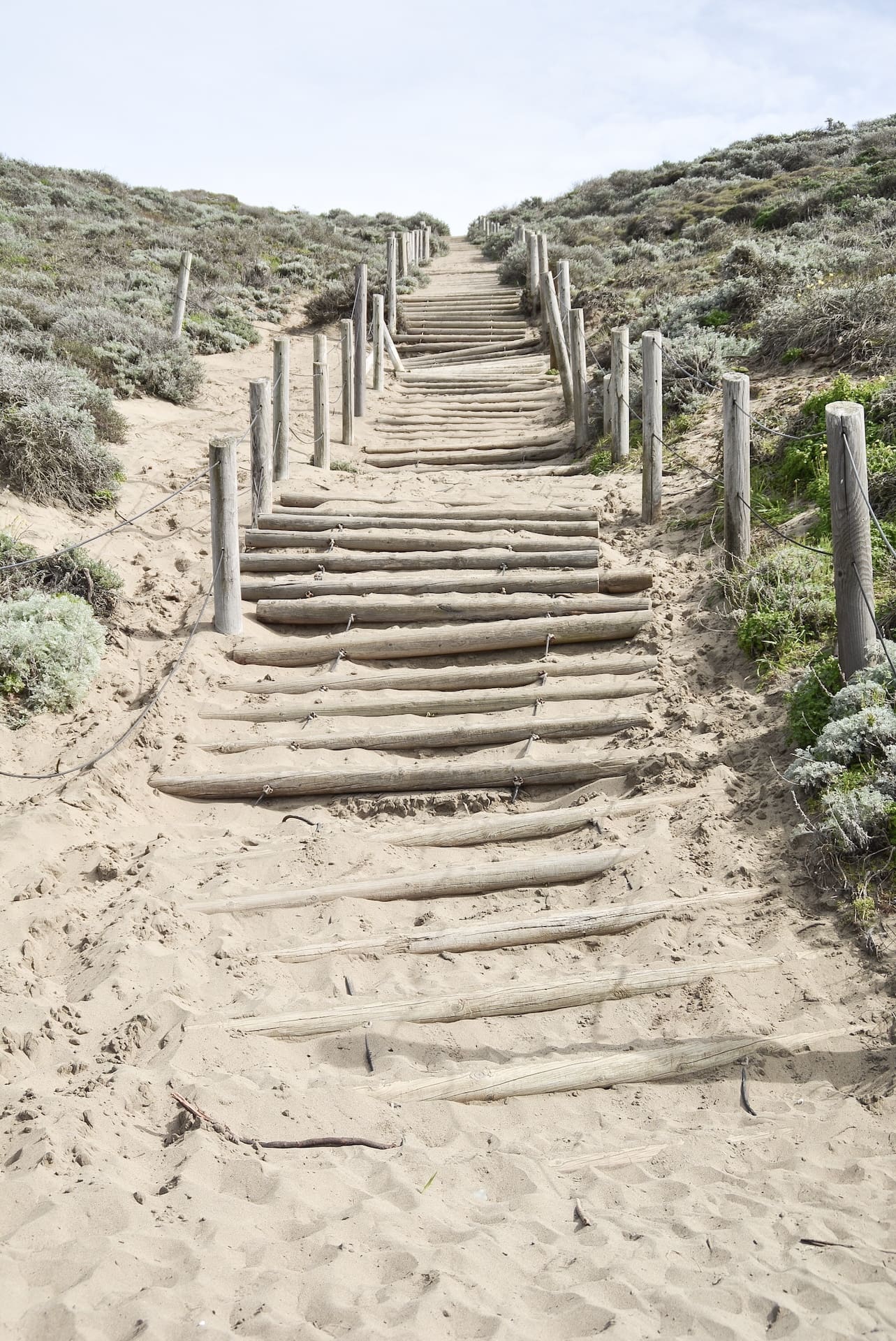 Wooden ladder up a dune at San Francisco's Baker Beach.
